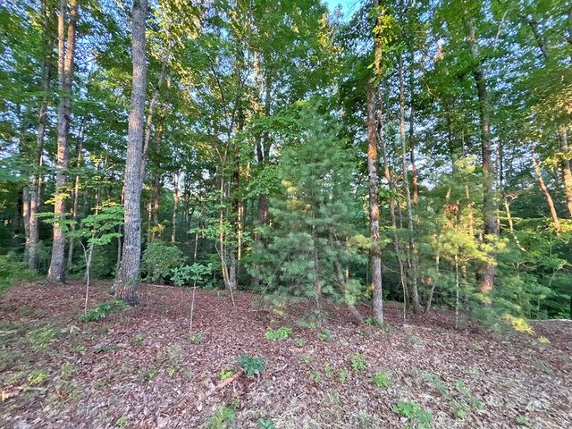 Lot 20 Mt. Springer Road, Ellijay, GA 30540