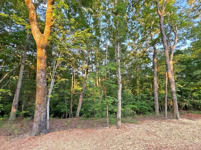 Lot 20 Mt. Springer Road, Ellijay, GA 30540