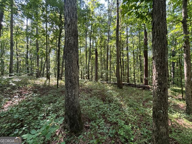 2578 Temple Johnson Road, Snellville, GA 30078