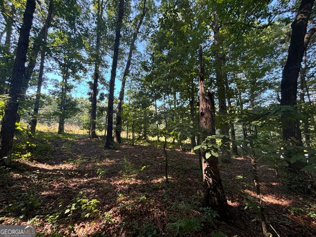 2578 Temple Johnson Road, Snellville, GA 30078