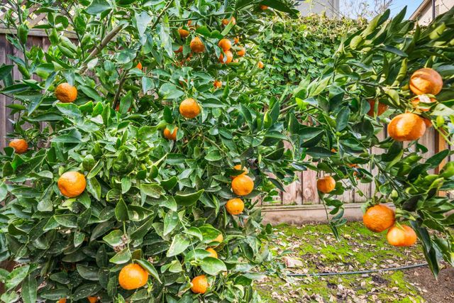 2128 Alexander Way, Pleasanton, CA 94588