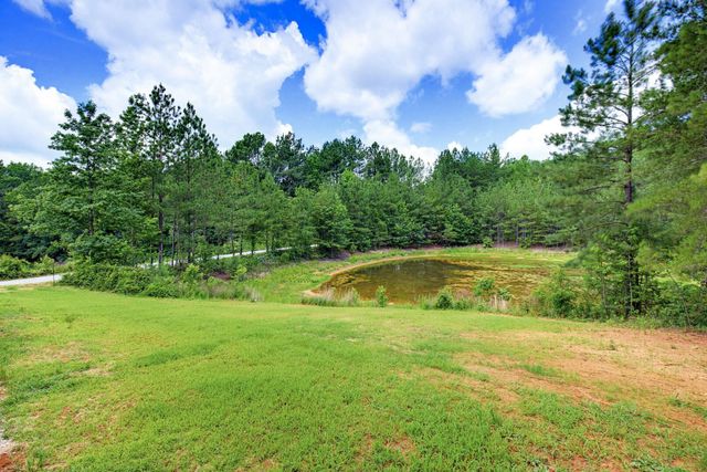 1217 Pleasant Hill Road, Landrum, SC 29356