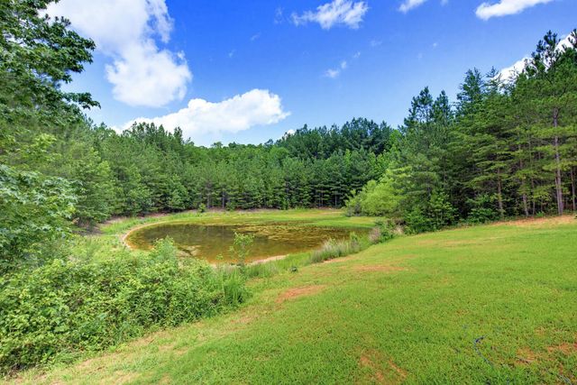 1217 Pleasant Hill Road, Landrum, SC 29356