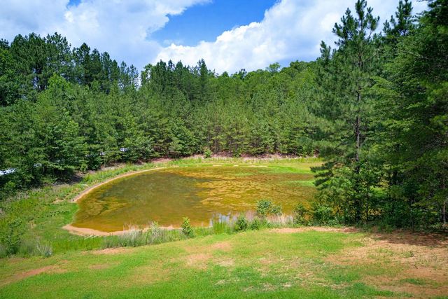 1217 Pleasant Hill Road, Landrum, SC 29356