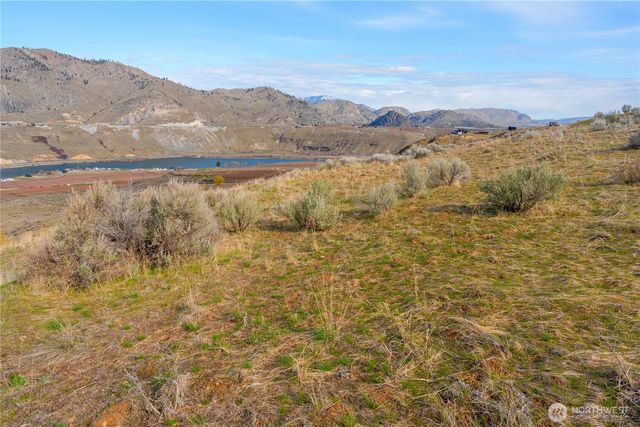 0 Tract 4 McNeil Canyon, Orondo, WA 98816