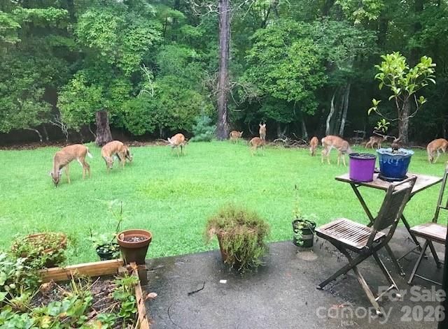 84 Greenwood Acres Drive, Mills River, NC 28759