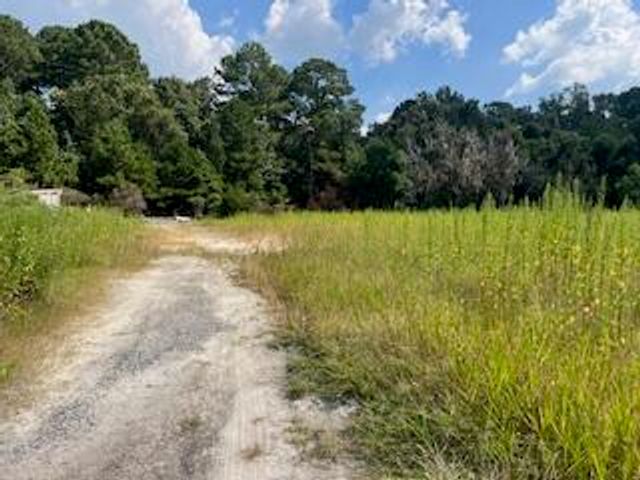 1 Wolffs Lair Road, Charleston, SC 29414