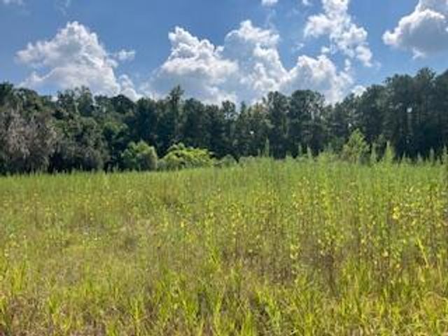 1 Wolffs Lair Road, Charleston, SC 29414