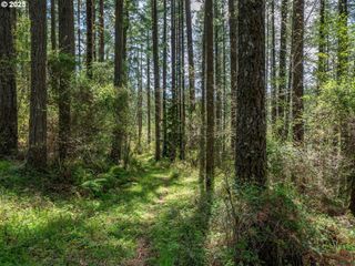 18675 Sw FOREST PARK Rd, Hillsboro, OR 97123