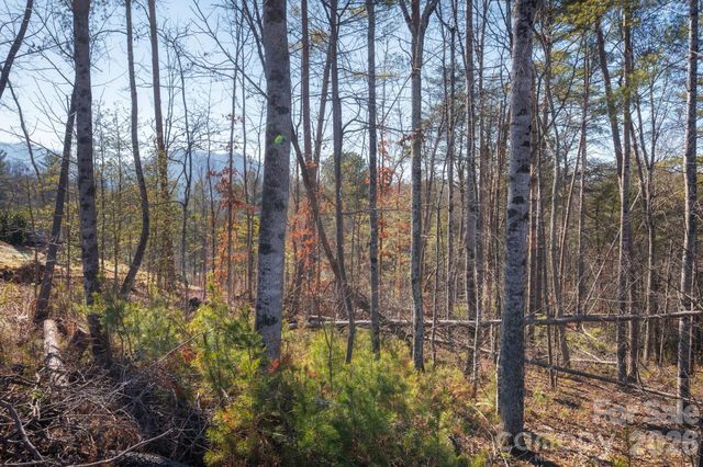 161 Riverbend Forest Drive 9, Asheville, NC 28805