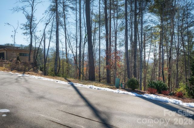 161 Riverbend Forest Drive 9, Asheville, NC 28805