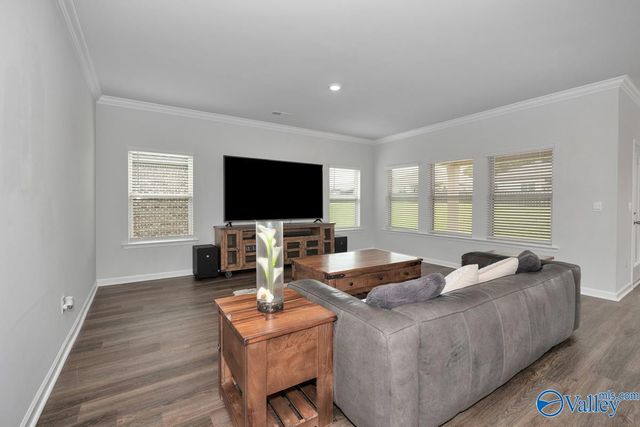 28299 Saddle Springs Drive, Madison, AL 35756