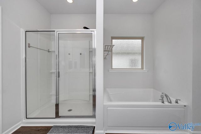 28299 Saddle Springs Drive, Madison, AL 35756