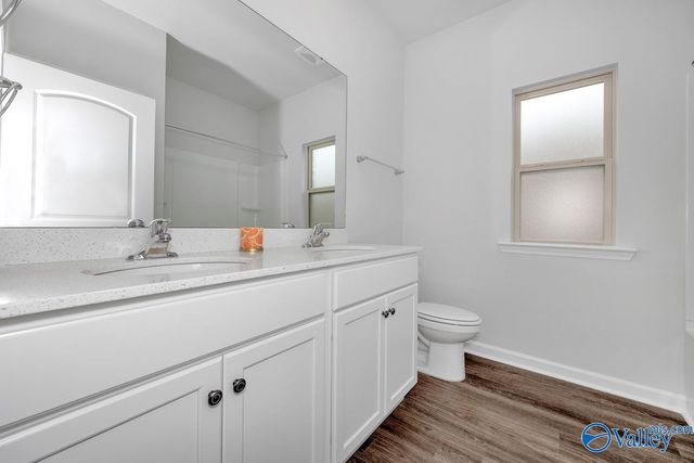 28299 Saddle Springs Drive, Madison, AL 35756