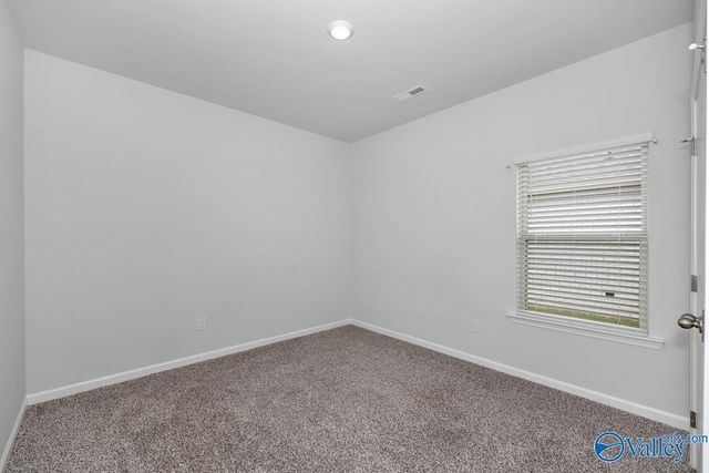 28299 Saddle Springs Drive, Madison, AL 35756