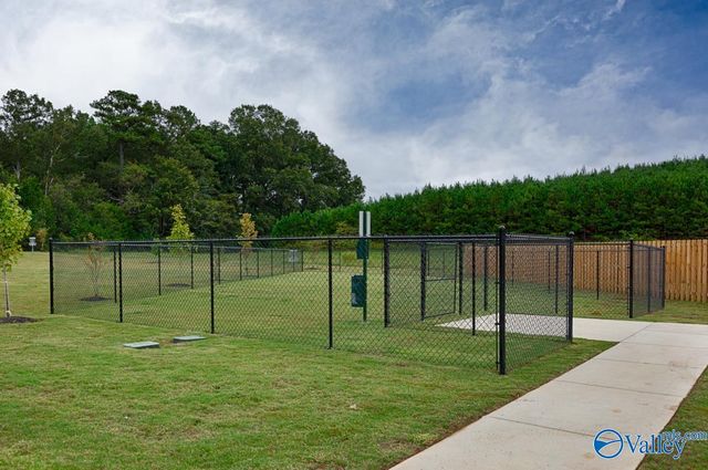 28299 Saddle Springs Drive, Madison, AL 35756