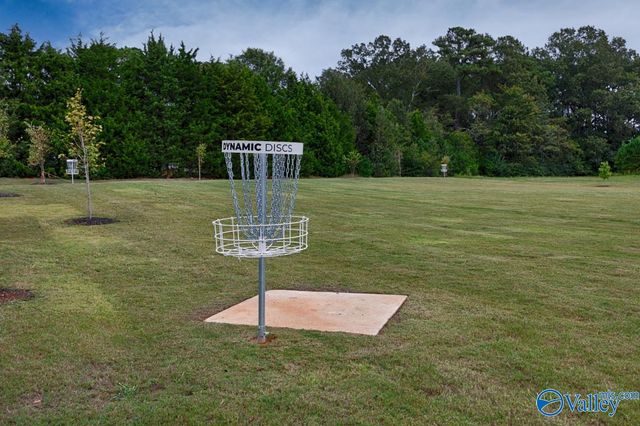 28299 Saddle Springs Drive, Madison, AL 35756