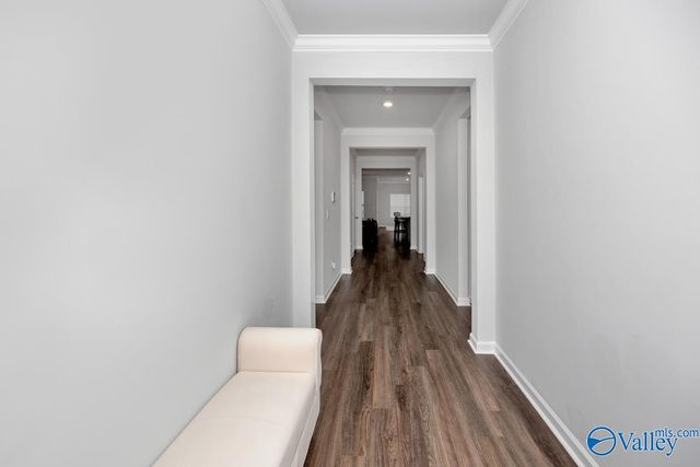 28299 Saddle Springs Drive, Madison, AL 35756