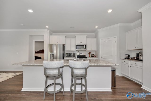 28299 Saddle Springs Drive, Madison, AL 35756