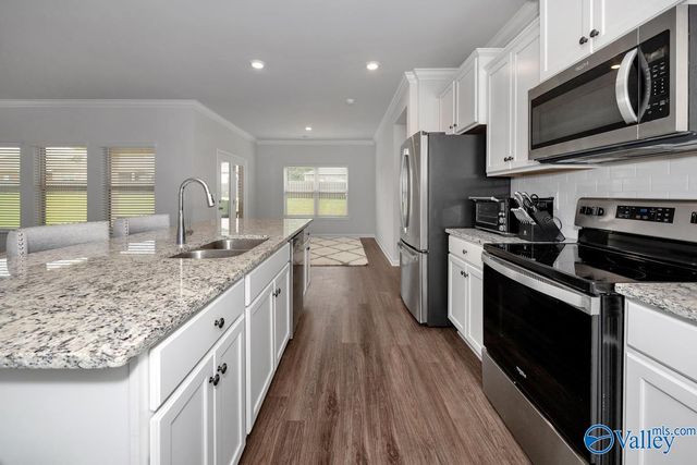 28299 Saddle Springs Drive, Madison, AL 35756