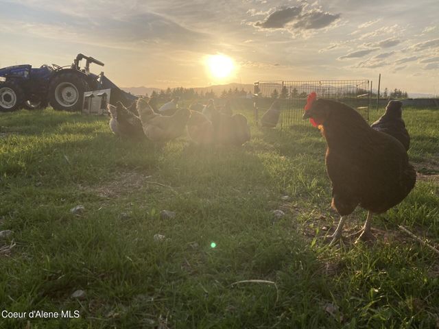 300 Sunny Shadows Lane, Sandpoint, ID 83864