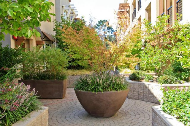 4388 El Camino Real 130, Los Altos, CA 94022