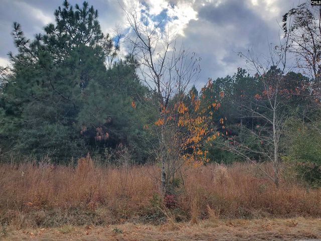 1152 Water Tank Road, Pelion, SC 29123