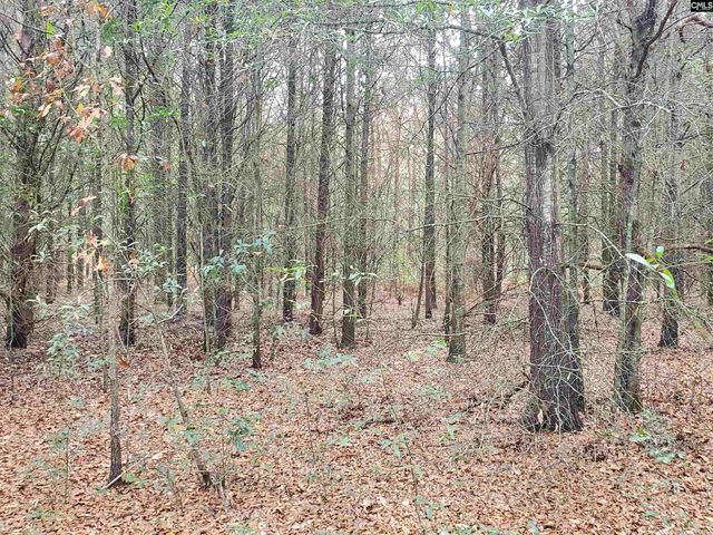 1152 Water Tank Road, Pelion, SC 29123
