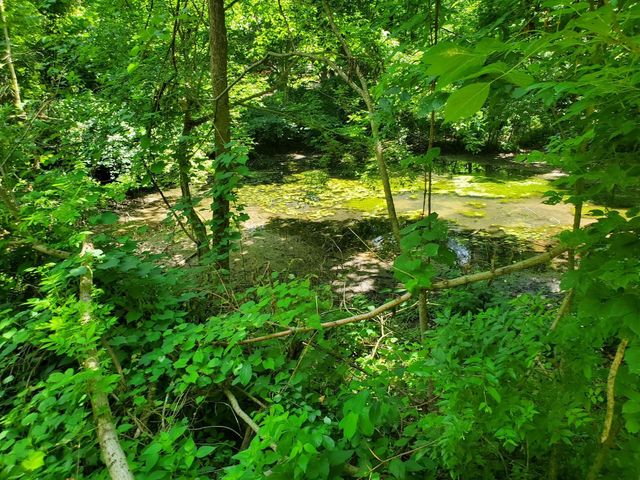 1930 Arlington Rd, Lebanon, TN 37087