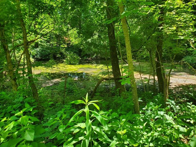 1930 Arlington Rd, Lebanon, TN 37087