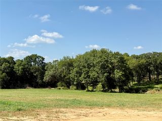 Lot 17 Colt. Road, Springtown, TX 76082