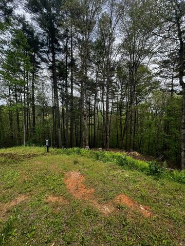 109R Red Oak Trail, Ellijay, GA 30540