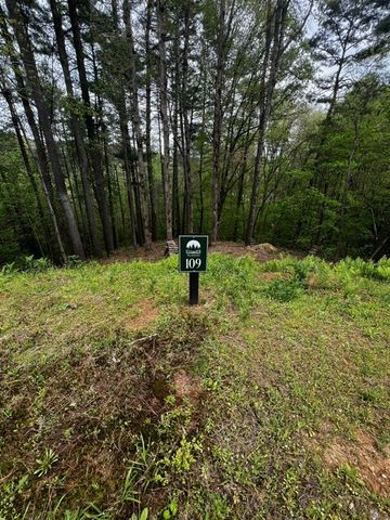 109R Red Oak Trail, Ellijay, GA 30540