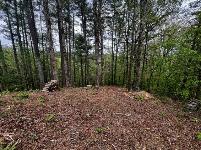 109R Red Oak Trail, Ellijay, GA 30540
