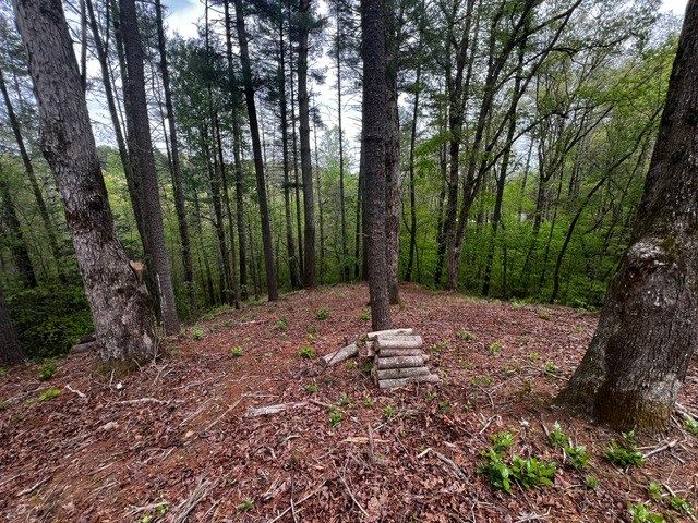 109R Red Oak Trail, Ellijay, GA 30540