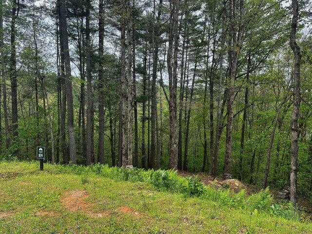 109R Red Oak Trail, Ellijay, GA 30540