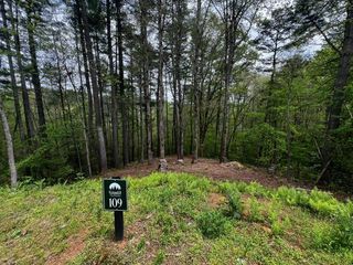 109R Red Oak Trail, Ellijay, GA 30540
