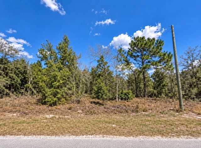 15540 CLIFF SWALLOW RD, Brooksville, FL 34614