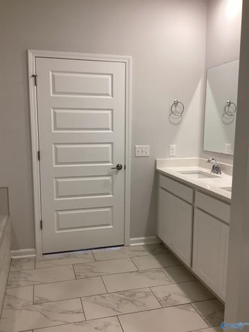 229 NE Paca Lane NE, Huntsville, AL 35811