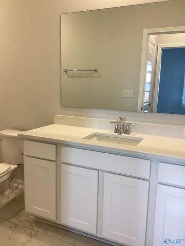 229 NE Paca Lane NE, Huntsville, AL 35811