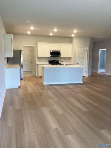 229 NE Paca Lane NE, Huntsville, AL 35811