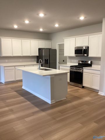 229 NE Paca Lane NE, Huntsville, AL 35811