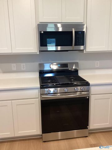 229 NE Paca Lane NE, Huntsville, AL 35811