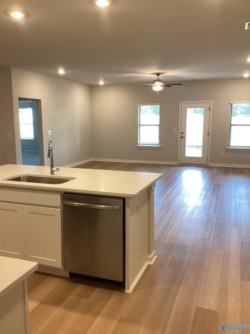 229 NE Paca Lane NE, Huntsville, AL 35811