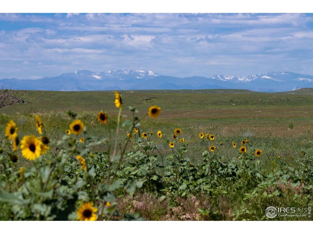6 TBD County Road 122, Carr, CO 80612
