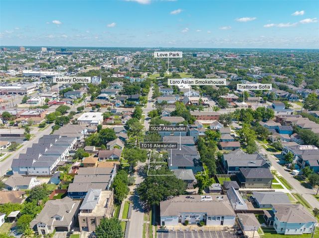 1020 Alexander Street, Houston, TX 77008
