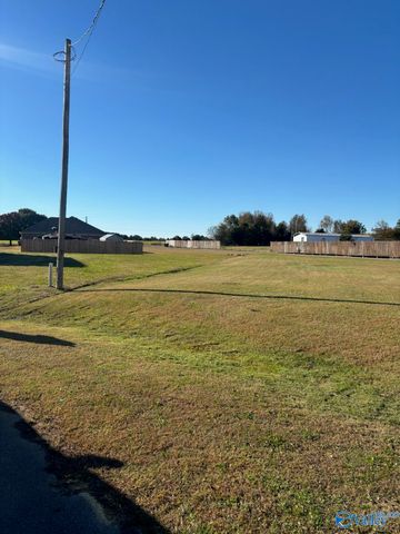 19722 Shianne Circle, Toney, AL 35773