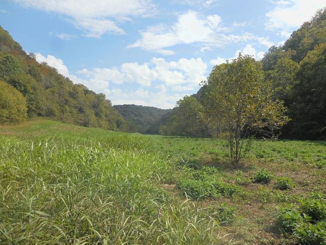 5154 Dry Mill Creek, Hilham, TN 38568