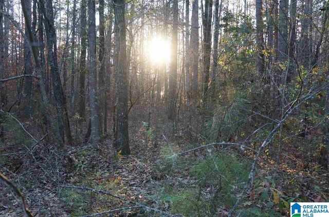 0 DEER RUN ROAD, Sylacauga, AL 35150