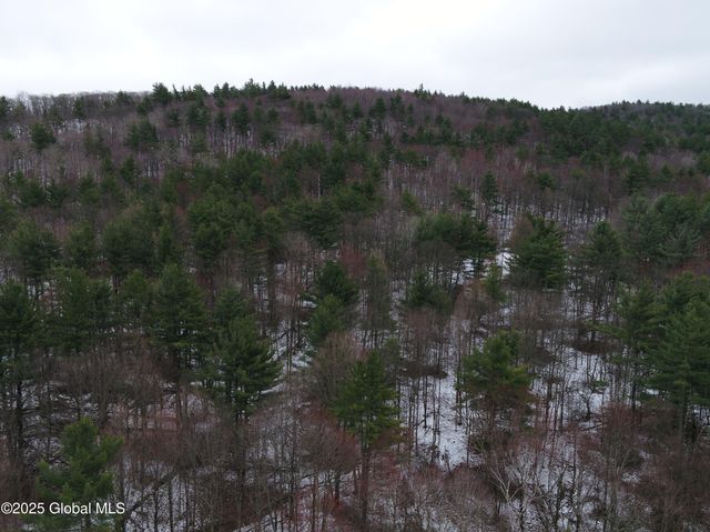 534 Rabbit College Road, Petersburgh, NY 12138